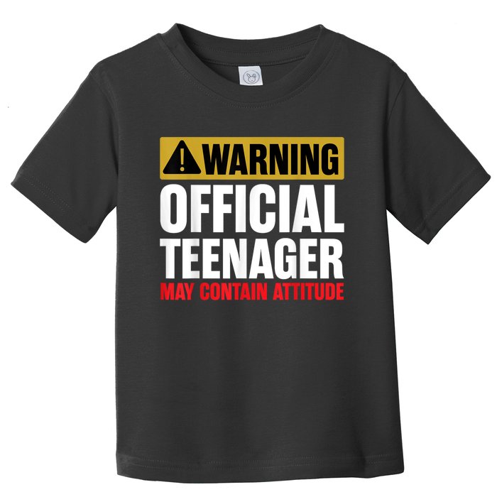 13 Birthday Teenager Boy 13yr Math 13th Birthday Toddler T-Shirt