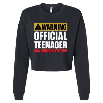 13 Birthday Teenager Boy 13yr Math 13th Birthday Cropped Pullover Crew