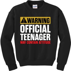 13 Birthday Teenager Boy 13yr Math 13th Birthday Kids Sweatshirt