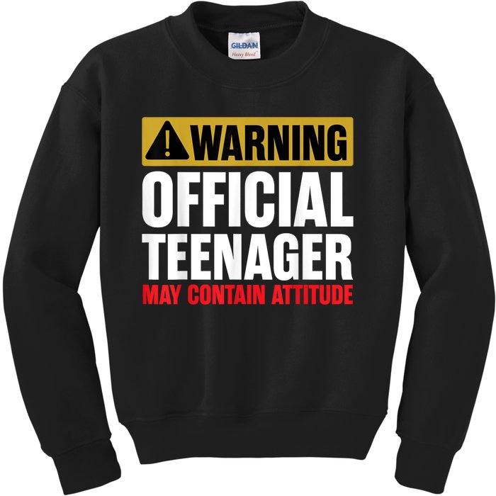 13 Birthday Teenager Boy 13yr Math 13th Birthday Kids Sweatshirt