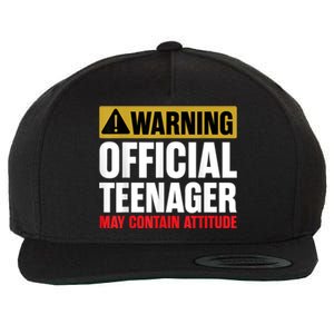 13 Birthday Teenager Boy 13yr Math 13th Birthday Wool Snapback Cap