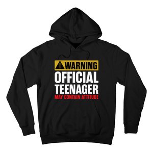 13 Birthday Teenager 13yr Math 13th Birthday Hoodie