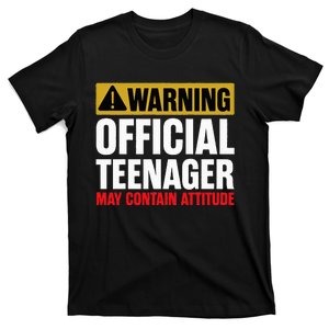 13 Birthday Teenager 13yr Math 13th Birthday T-Shirt