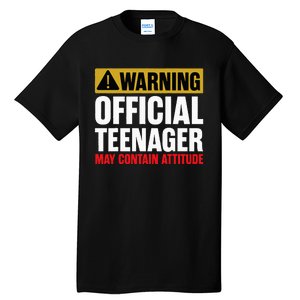 13 Birthday Teenager 13yr Math 13th Birthday Tall T-Shirt