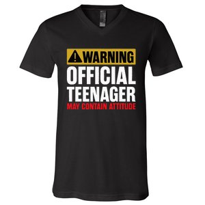 13 Birthday Teenager 13yr Math 13th Birthday V-Neck T-Shirt