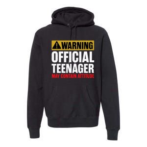 13 Birthday Teenager 13yr Math 13th Birthday Premium Hoodie