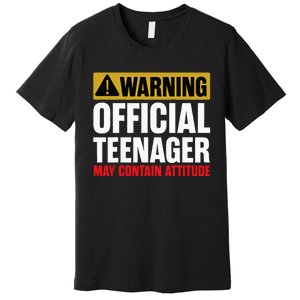 13 Birthday Teenager 13yr Math 13th Birthday Premium T-Shirt