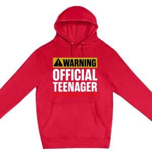 13 Birthday Teenager 13yr Math 13th Birthday Premium Pullover Hoodie