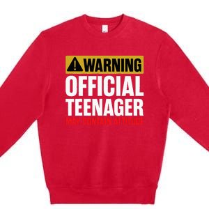 13 Birthday Teenager 13yr Math 13th Birthday Premium Crewneck Sweatshirt