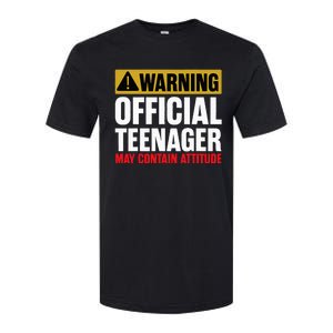 13 Birthday Teenager 13yr Math 13th Birthday Softstyle CVC T-Shirt