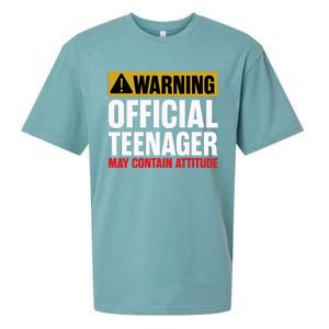 13 Birthday Teenager 13yr Math 13th Birthday Sueded Cloud Jersey T-Shirt