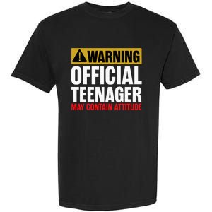 13 Birthday Teenager Boy 13yr Math 13th Birthday Garment-Dyed Heavyweight T-Shirt