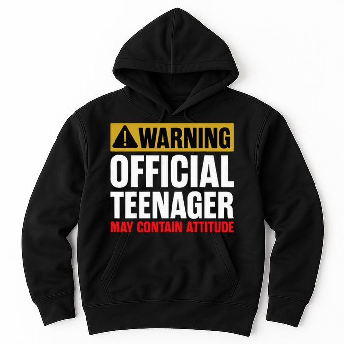 13 Birthday Teenager Boy 13yr Math 13th Birthday Hoodie