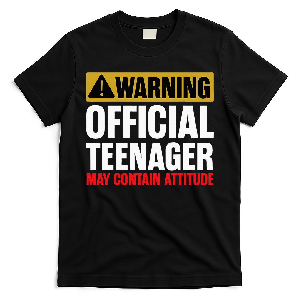 13 Birthday Teenager Boy 13yr Math 13th Birthday T-Shirt