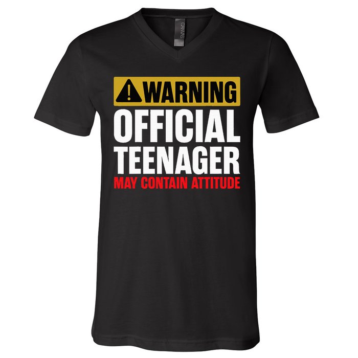 13 Birthday Teenager Boy 13yr Math 13th Birthday V-Neck T-Shirt