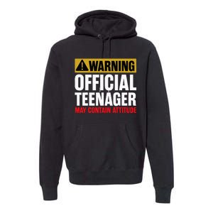 13 Birthday Teenager Boy 13yr Math 13th Birthday Premium Hoodie