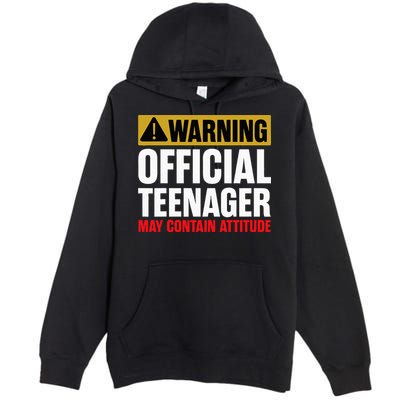 13 Birthday Teenager Boy 13yr Math 13th Birthday Premium Pullover Hoodie