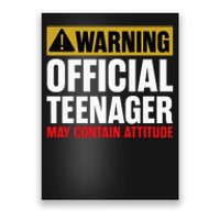 13 Birthday Teenager Boy 13yr Math 13th Birthday Poster