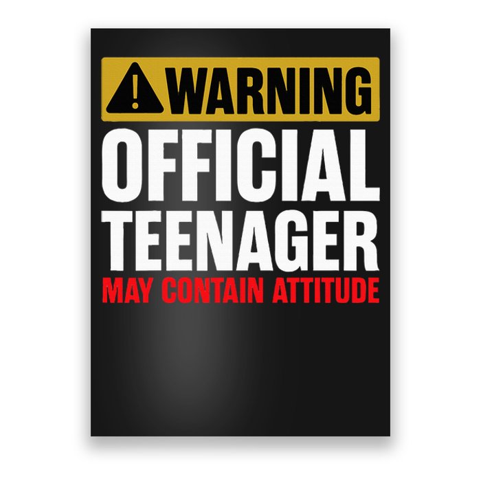 13 Birthday Teenager Boy 13yr Math 13th Birthday Poster