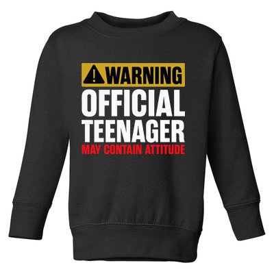 13 Birthday Teenager Boy 13yr Math 13th Birthday Toddler Sweatshirt
