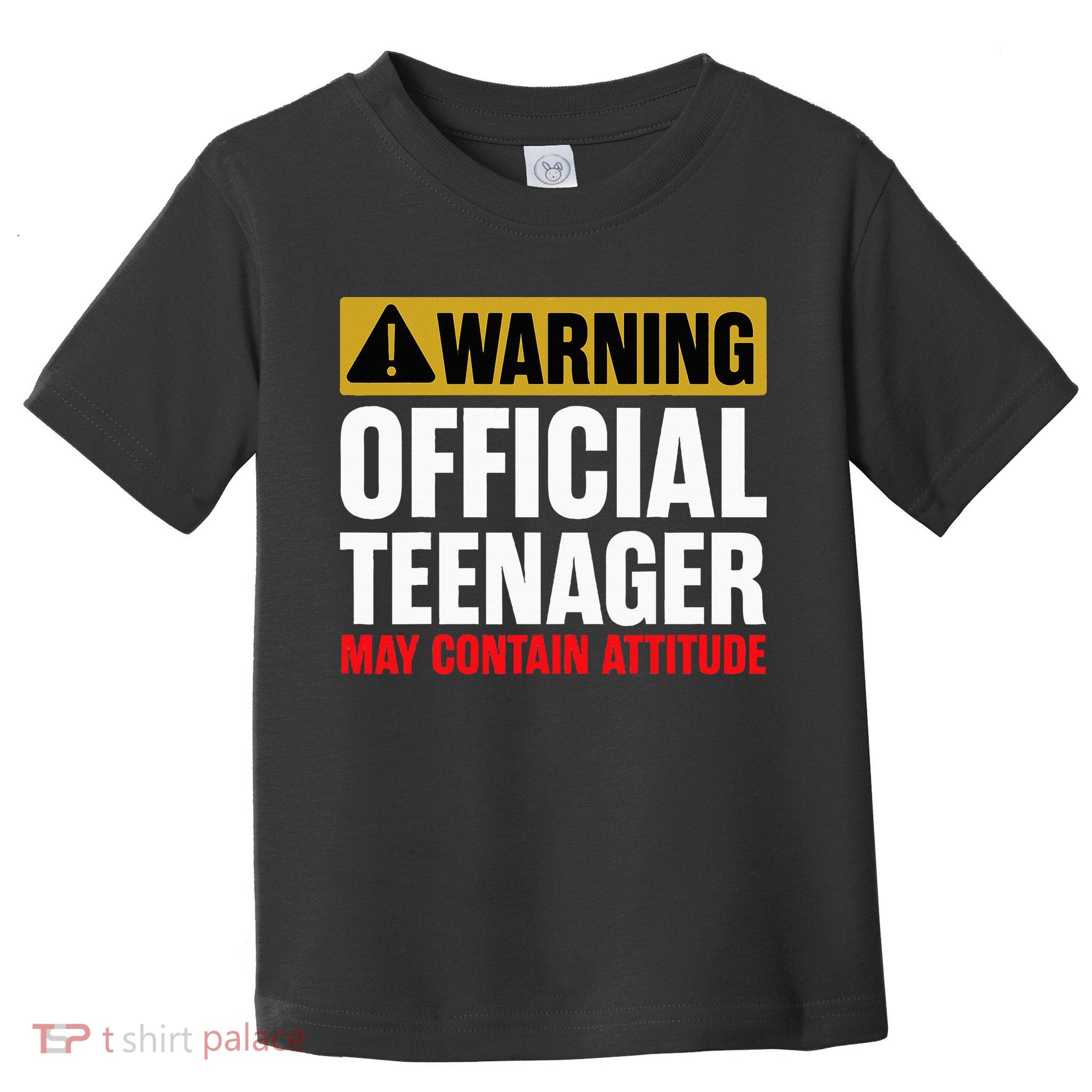 13 Birthday Teenager Boy 13yr Math 13th Birthday Toddler T-Shirt