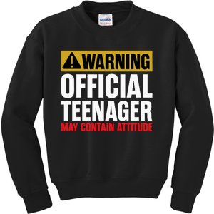 13 Birthday Teenager Boy 13yr Math 13th Birthday Kids Sweatshirt