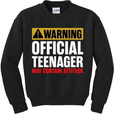 13 Birthday Teenager Boy 13yr Math 13th Birthday Kids Sweatshirt