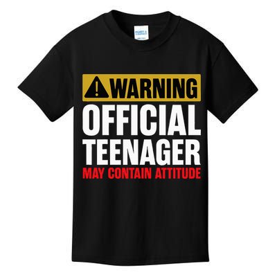 13 Birthday Teenager Boy 13yr Math 13th Birthday Kids T-Shirt