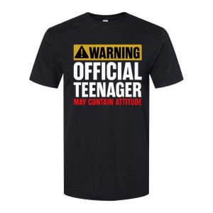 13 Birthday Teenager Boy 13yr Math 13th Birthday Softstyle CVC T-Shirt