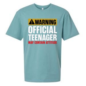 13 Birthday Teenager Boy 13yr Math 13th Birthday Sueded Cloud Jersey T-Shirt