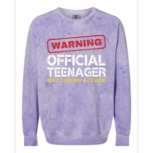 13 Birthday Teenager Boy 13th Birthday Colorblast Crewneck Sweatshirt