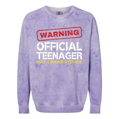 13 Birthday Teenager Boy 13th Birthday Colorblast Crewneck Sweatshirt