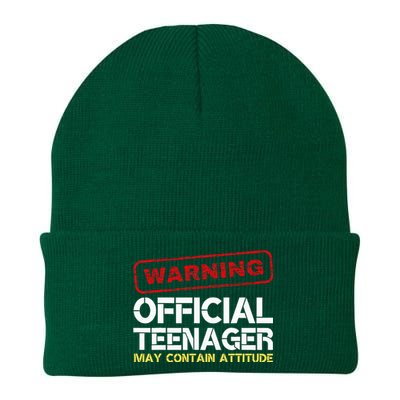 13 Birthday Teenager Boy 13th Birthday Knit Cap Winter Beanie