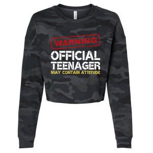 13 Birthday Teenager Boy 13th Birthday Cropped Pullover Crew