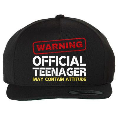 13 Birthday Teenager Boy 13th Birthday Wool Snapback Cap