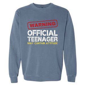 13 Birthday Teenager Boy 13th Birthday Garment-Dyed Sweatshirt