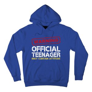 13 Birthday Teenager Boy 13th Birthday Hoodie