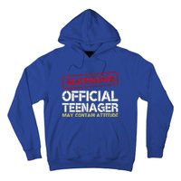 13 Birthday Teenager Boy 13th Birthday Hoodie