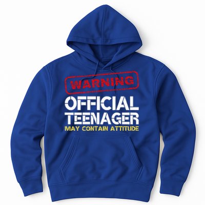 13 Birthday Teenager Boy 13th Birthday Hoodie