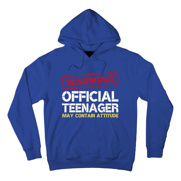 13 Birthday Teenager Boy 13th Birthday Hoodie