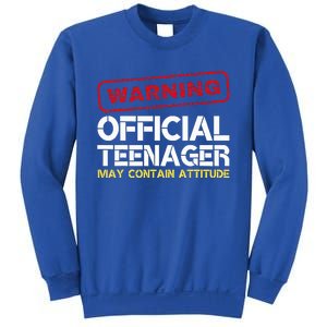 13 Birthday Teenager Boy 13th Birthday Sweatshirt