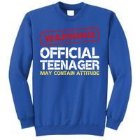 13 Birthday Teenager Boy 13th Birthday Sweatshirt