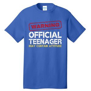 13 Birthday Teenager Boy 13th Birthday Tall T-Shirt