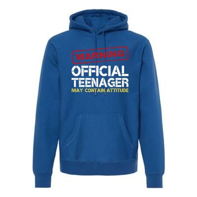 13 Birthday Teenager Boy 13th Birthday Premium Hoodie