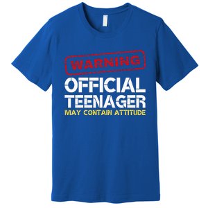 13 Birthday Teenager Boy 13th Birthday Premium T-Shirt