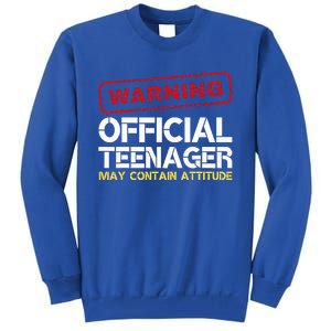 13 Birthday Teenager Boy 13th Birthday Tall Sweatshirt