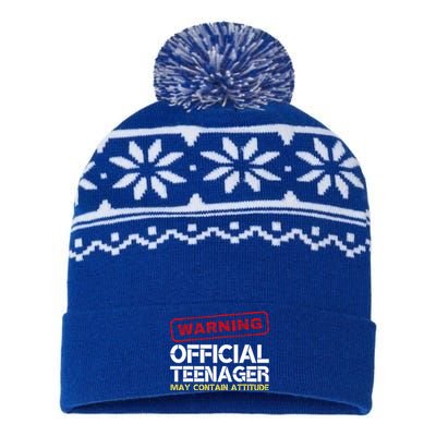 13 Birthday Teenager Boy 13th Birthday USA-Made Snowflake Beanie