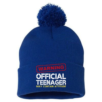 13 Birthday Teenager Boy 13th Birthday Pom Pom 12in Knit Beanie