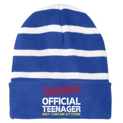 13 Birthday Teenager Boy 13th Birthday Striped Beanie with Solid Band