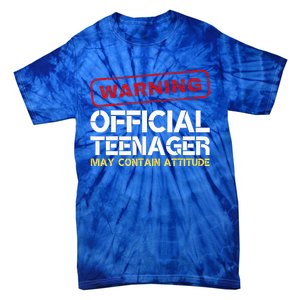 13 Birthday Teenager Boy 13th Birthday Tie-Dye T-Shirt